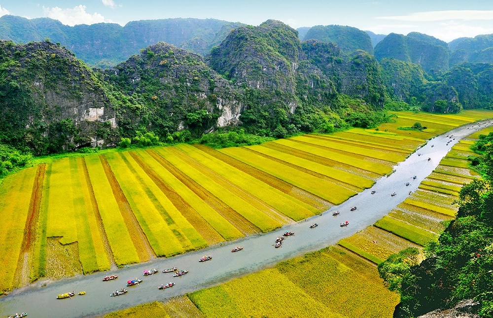 Chèo thuyền dọc quanh dòng sông